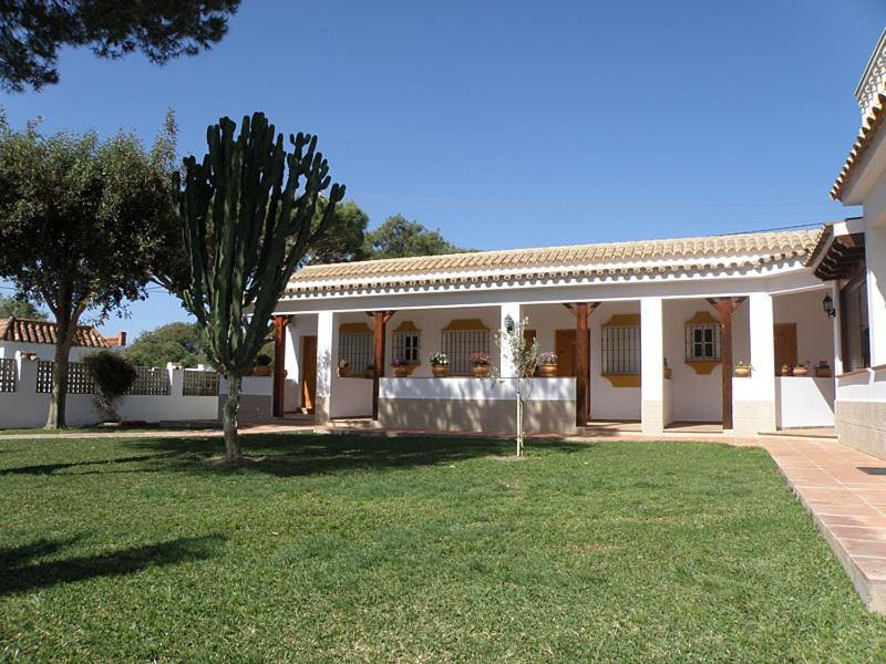 Hostal Las Acacias Los Canos De Meca Extérieur photo